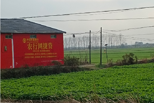 云龙如何防止墙体广告褪色呢？