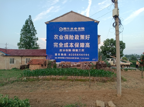 云龙墙体广告为何受追捧？