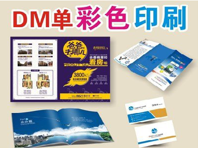 云龙单页印刷，色彩搭配简单。